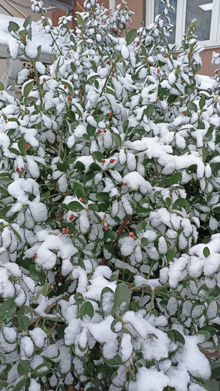 О погоде на 23 января. В Краснодарском крае облачно О погоде на 23 января. В Краснодарском крае облачно