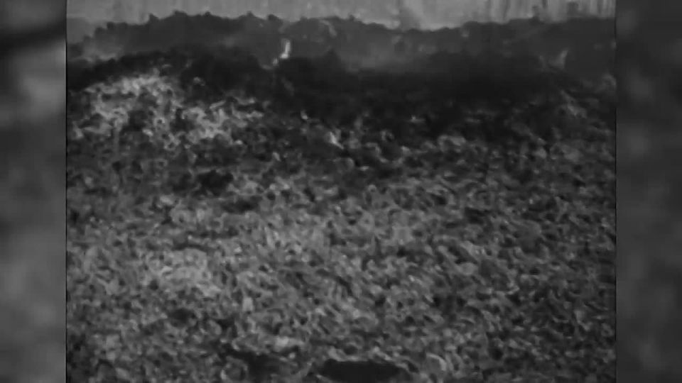 ������� ������������ ��������