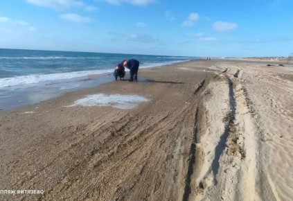 �� ��������� ������ � ����� � ���������� ������ ����� �������� ������ �� ����������