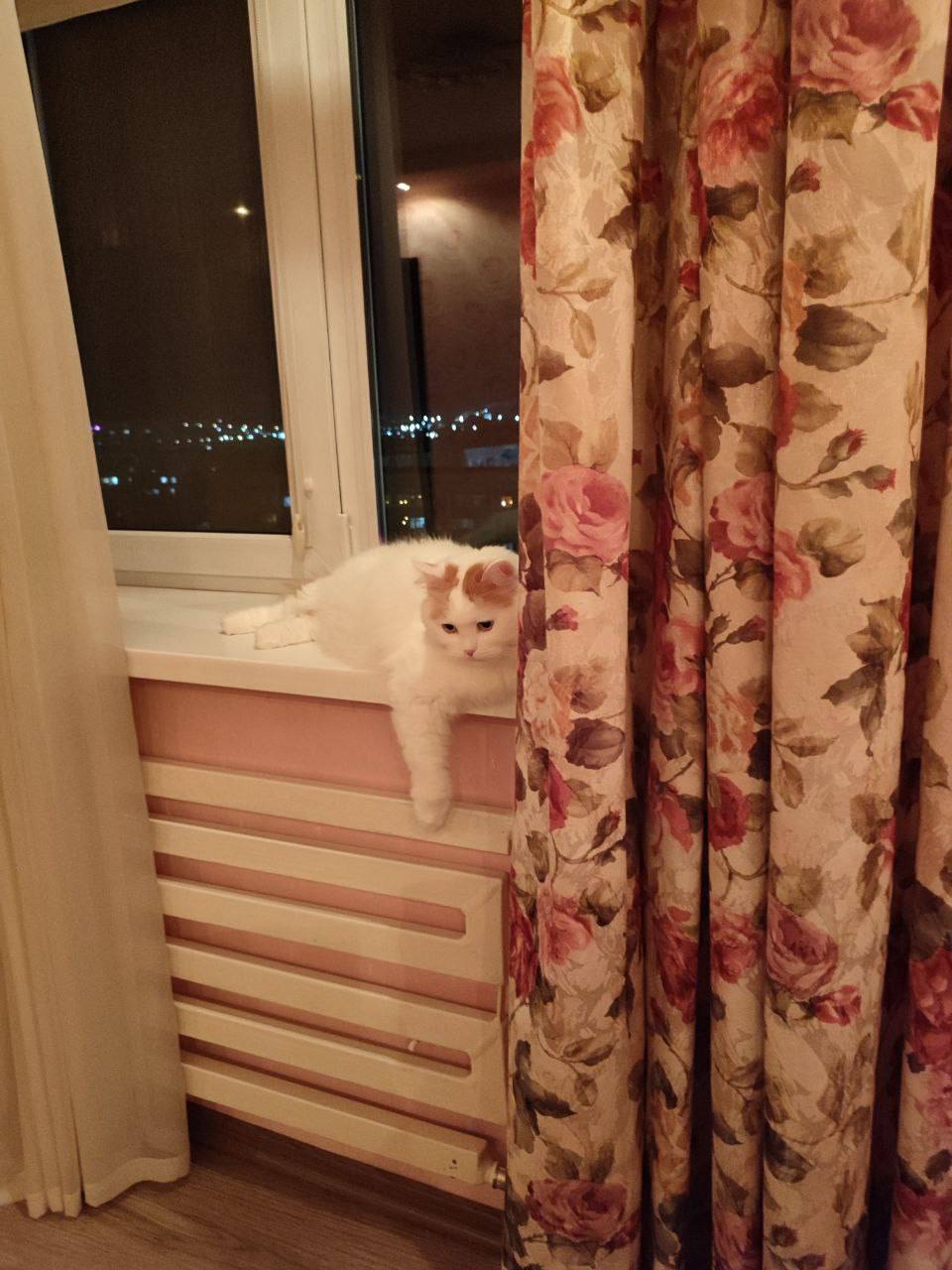 О погоде на 23 января. В Краснодарском крае облачно О погоде на 23 января. В Краснодарском крае облачно