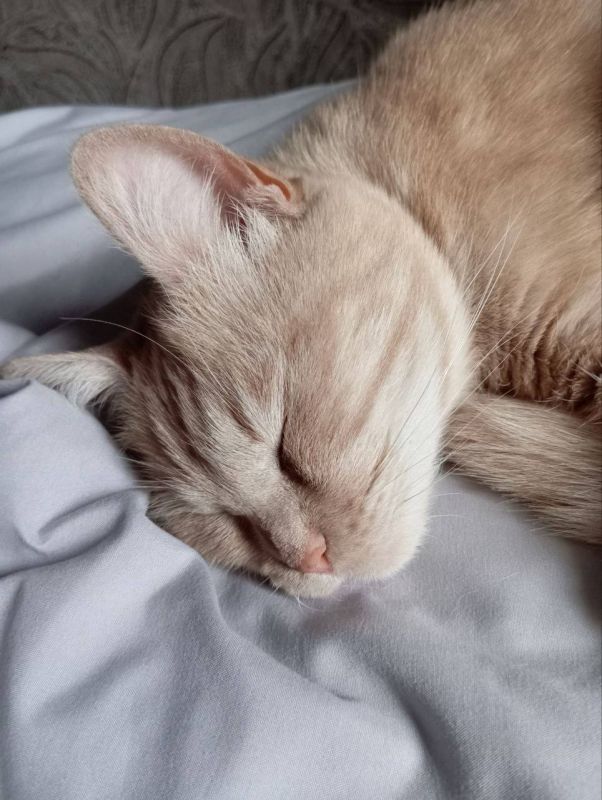 � ������ �� 23 ������. � ������������� ���� �������