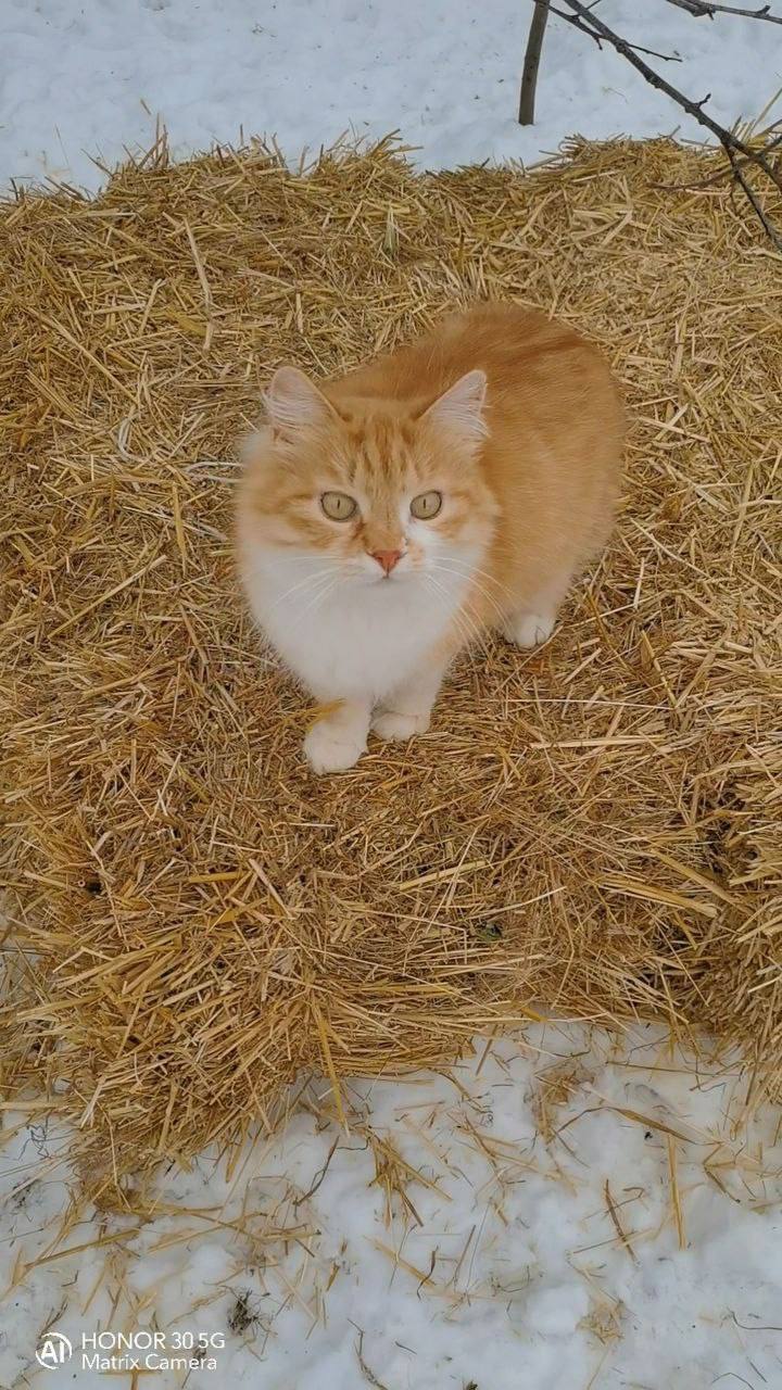 О погоде на 23 января. В Краснодарском крае облачно О погоде на 23 января. В Краснодарском крае облачно