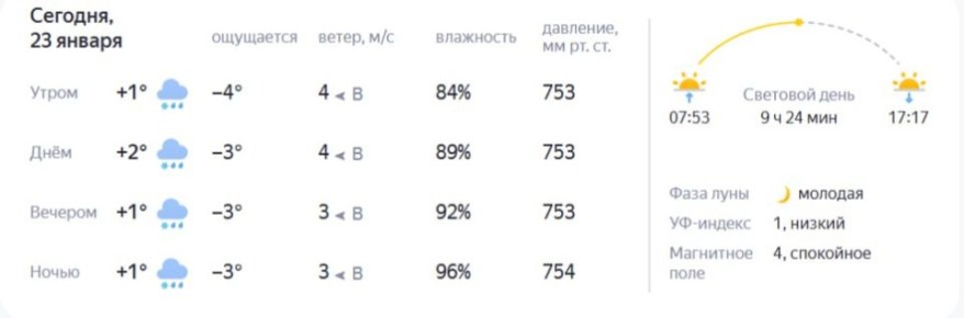 Кажется, небольшое потепление решило заглянуть к нам в гости