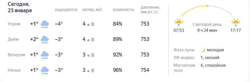 Кажется, небольшое потепление решило заглянуть к нам в гости