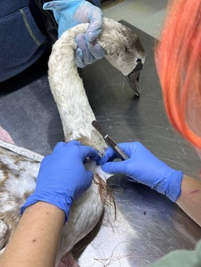 ������ �� ��� �������� � ��� ��� ������ �����