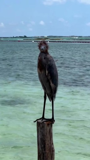 Состояние: утро пятницы