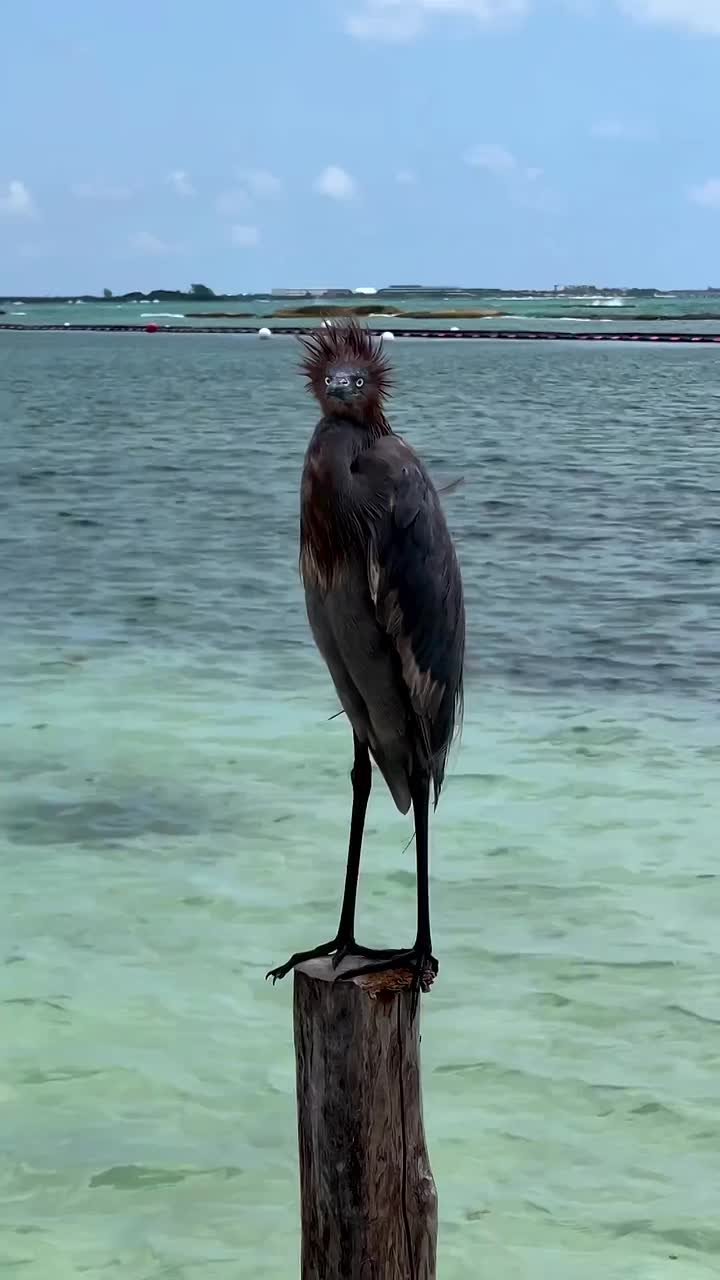 Состояние: утро пятницы