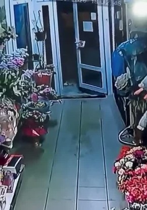 ������ ��������. ������� ����-���������� ������ ���� ����-��������� � ��������� ����������