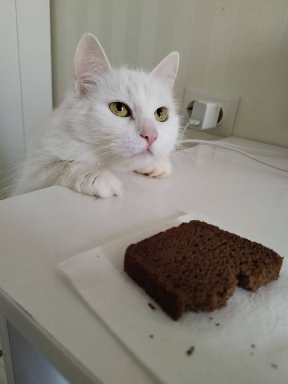 О погоде на 23 января. В Краснодарском крае облачно О погоде на 23 января. В Краснодарском крае облачно