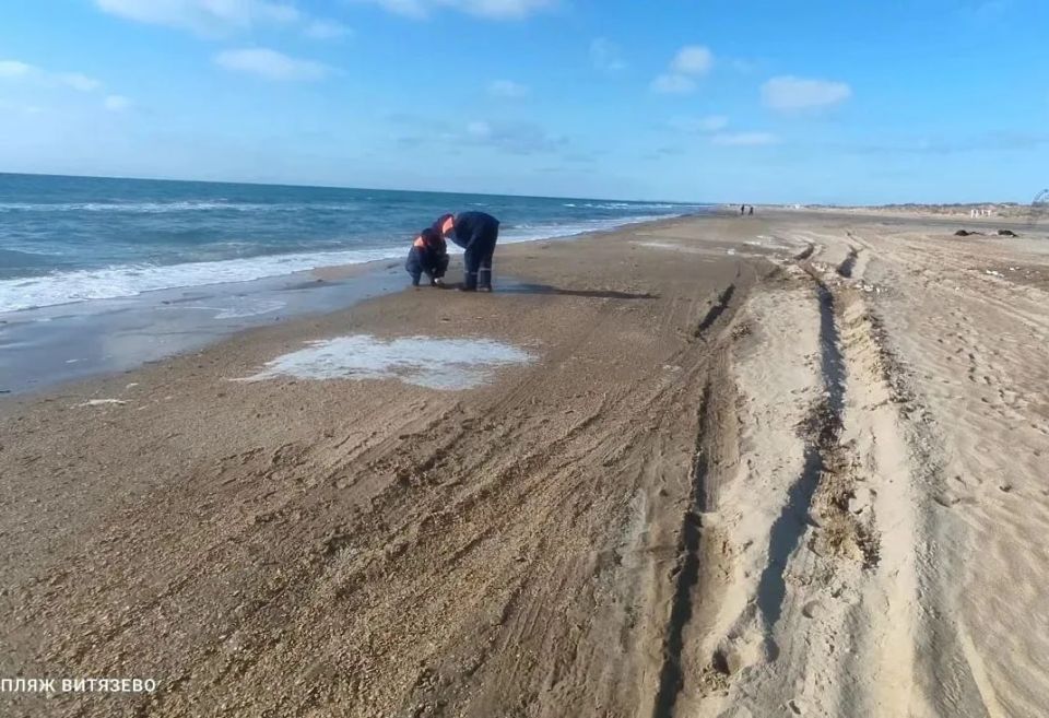 ����� �������� �������������� � ����� � ���������� ������ �� �������� ������ �� ����