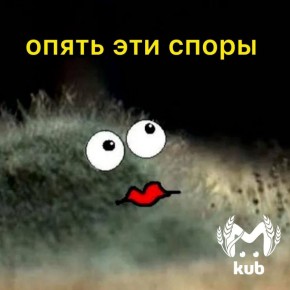 Сеть "Светофор" получила штраф 300 тысяч за просрочку и другие нарушения в 20 магазинах Кубани