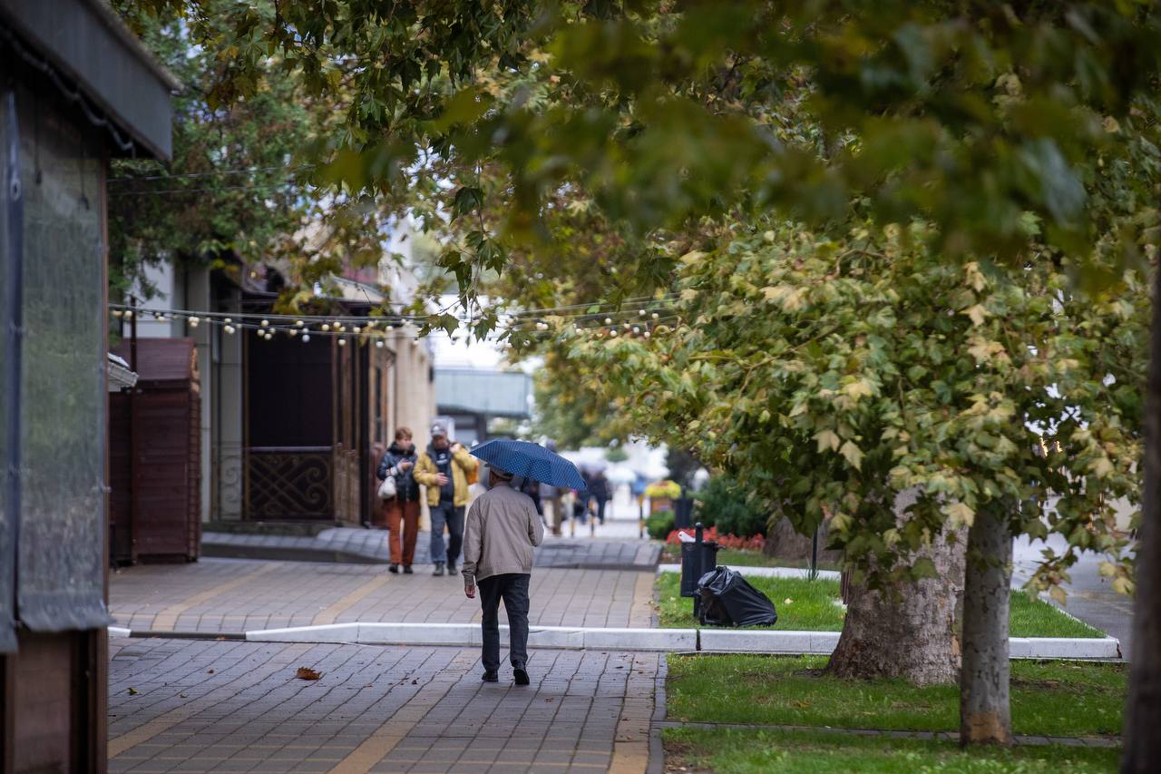 Выходные под зонтом. Сегодня осадки