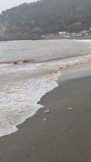 �� ����������!. �� ����� �����-����� � ����� ������� ����� ������� �����