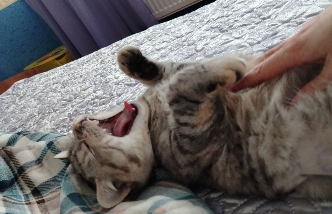 О погоде на 24 января. В Краснодарском крае облачно О погоде на 24 января. В Краснодарском крае облачно