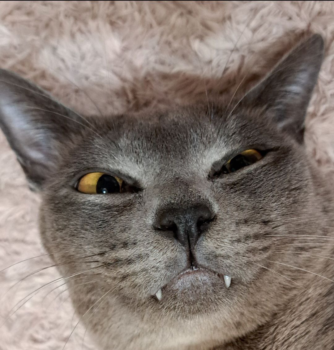 О погоде на 24 января. В Краснодарском крае облачно О погоде на 24 января. В Краснодарском крае облачно