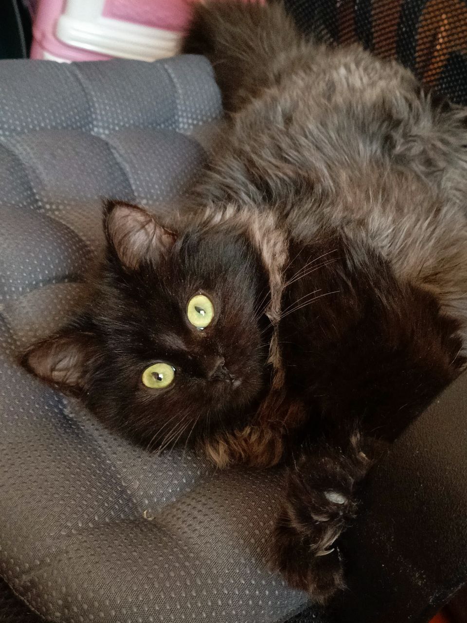 О погоде на 24 января. В Краснодарском крае облачно О погоде на 24 января. В Краснодарском крае облачно