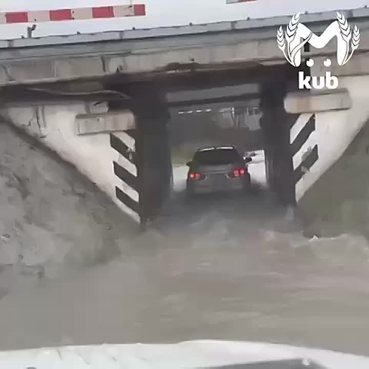 �����, �������� �� �������, ����� ������, ����� � ������� �������� �������������