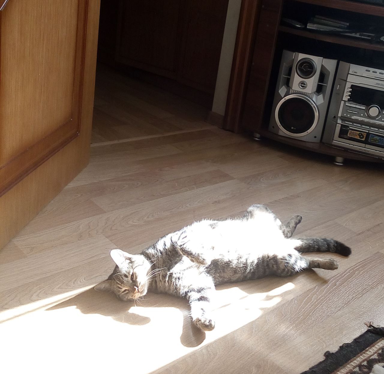 О погоде на 24 января. В Краснодарском крае облачно О погоде на 24 января. В Краснодарском крае облачно