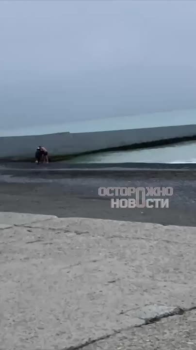 Визг на весь пляж. Накануне на безлюдном зимнем сочинском пляже прохожие заметили душераздирающую картину