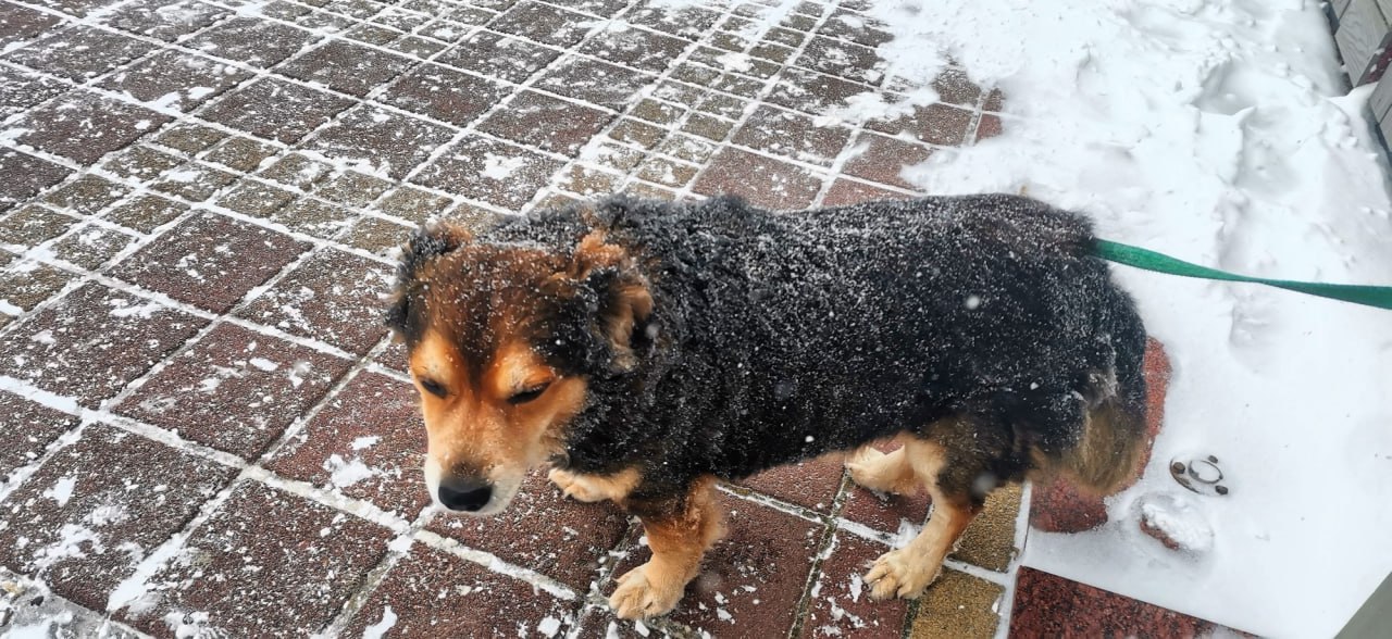 О погоде на 24 января. В Краснодарском крае облачно О погоде на 24 января. В Краснодарском крае облачно