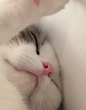 ������� �������� � �����. ������ ����!