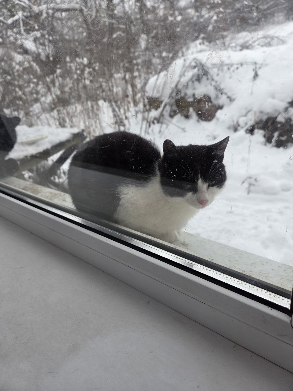 О погоде на 24 января. В Краснодарском крае облачно О погоде на 24 января. В Краснодарском крае облачно