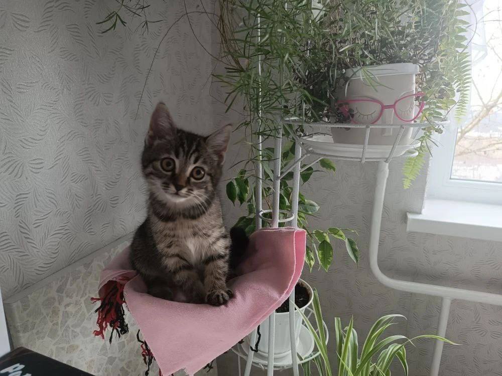 О погоде на 25 января. В Краснодарском крае облачно О погоде на 25 января. В Краснодарском крае облачно