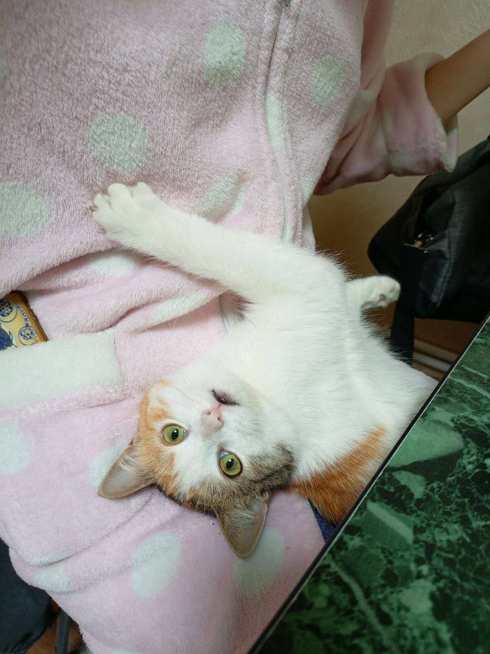 О погоде на 25 января. В Краснодарском крае облачно О погоде на 25 января. В Краснодарском крае облачно