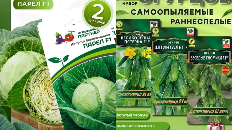 Опыт с семенами: три бренда, которые разочаровали в уходе