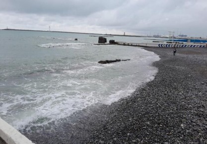 � ���� ��������������� ����� �������, ������� �� �����������, ������������������ � ���������, �������� ����� � �������� ����