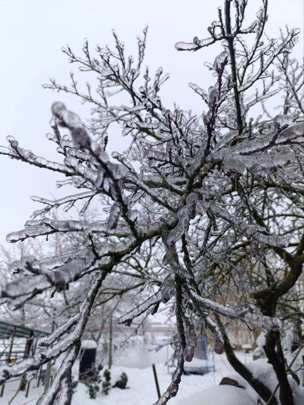 � ������ �� 25 ������. � ������������� ���� �������