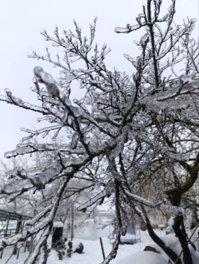 � ������ �� 25 ������. � ������������� ���� �������