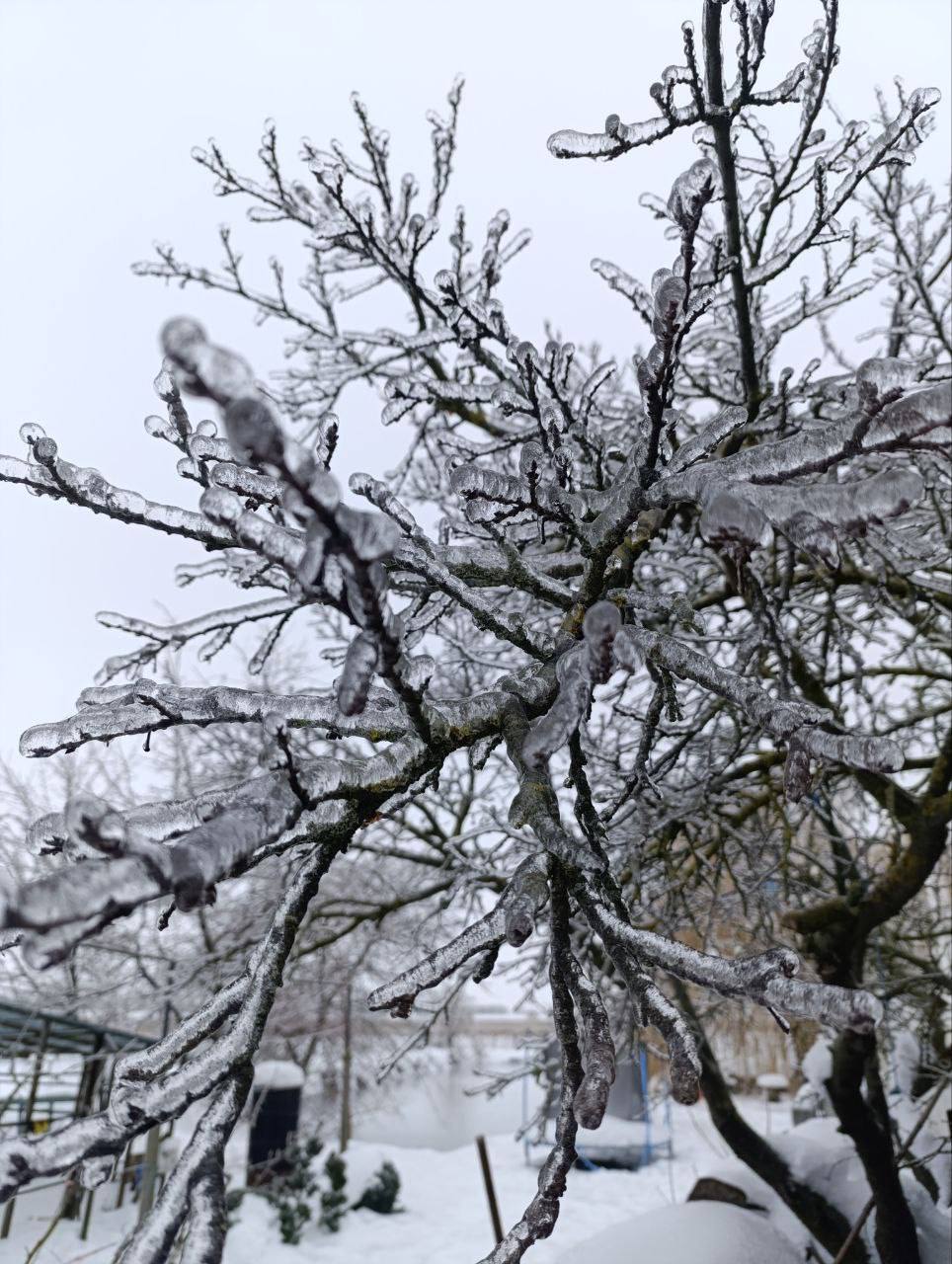 О погоде на 25 января. В Краснодарском крае облачно