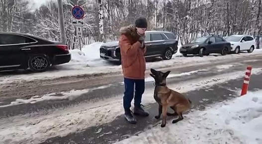 ������� ������� ������ ����� ������� �����