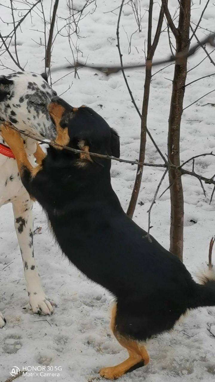 О погоде на 25 января. В Краснодарском крае облачно О погоде на 25 января. В Краснодарском крае облачно