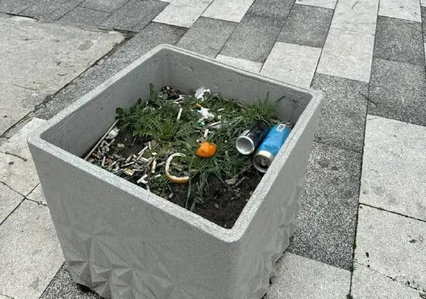 Бережем природу вместе: жителей и гостей Новороссийска призывают соблюдать чистоту и санитарный порядок на территории общественных пространств города-героя