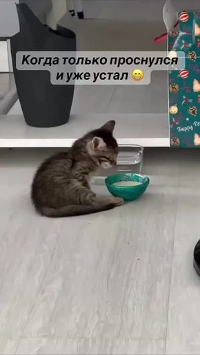 �������� ��������� ����� � �����������