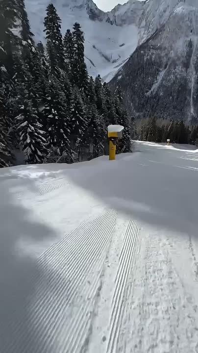 Волк погнался за сноубордистом прямо на трассе Домбая — счастливый финал