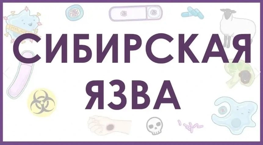 27 января в Ейском районе аварийное отключение водоснабжения 27 января в Ейском районе аварийное отключение водоснабжения