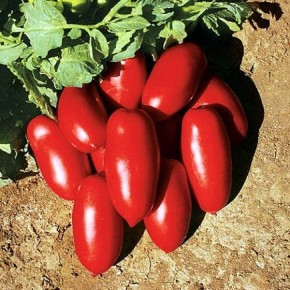 ����� ����� F1: ������������� ������ ��� ����������� ������ � ������� ���������