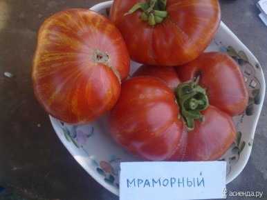 ����� ���������: ��� �������� ������ � ������������� ������