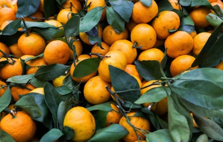 ������������ �������������: ��� ������� ������������ ������� � ��� ��� �������