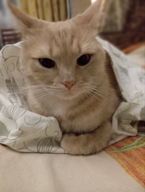 � ������ �� 27 ������. � ������������� ���� ������� � ������������