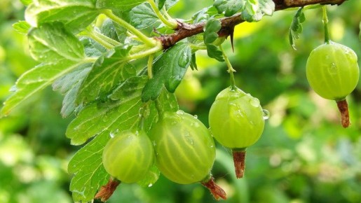 ��� ��������� ������� ������ ���� ���������� ������ � ����������