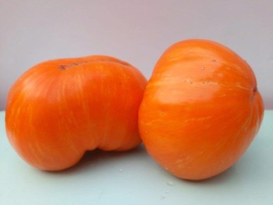 ����� �������� �������: ����� ����� ��� ������� � ���������