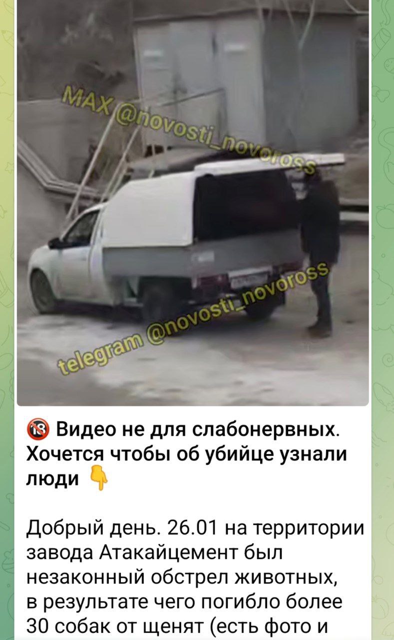 Полиция проверяет информацию о жестоком обращении с животными