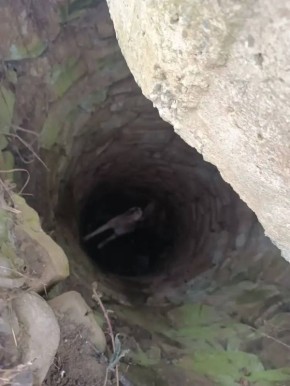 ���, ���� � �����: ��������� ��������� �������� ������ � ���� �����-����������