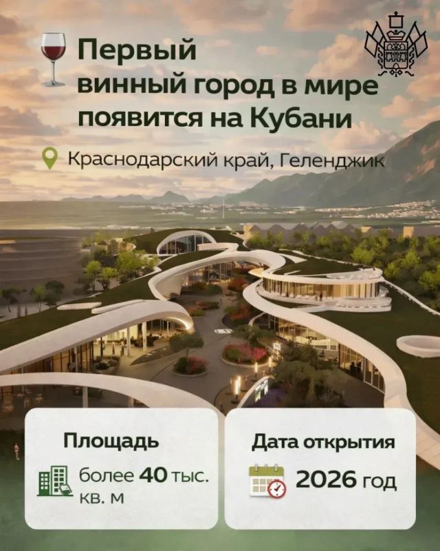 Первый в России винный город появится на Кубани
