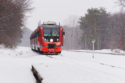 � ������� ����� � �� ���� ������������� 12 ������������ �������