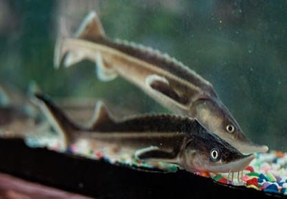 ���������� �� ������� ������ ������ ������� ������ �������� ������ � �������� � ����